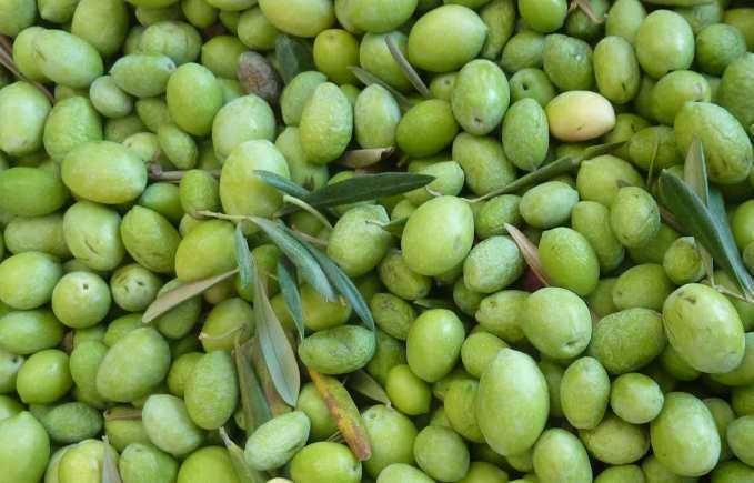 הוילה Tracino Pantelleria Le Ballute מראה חיצוני תמונה